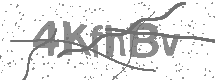 visual captcha